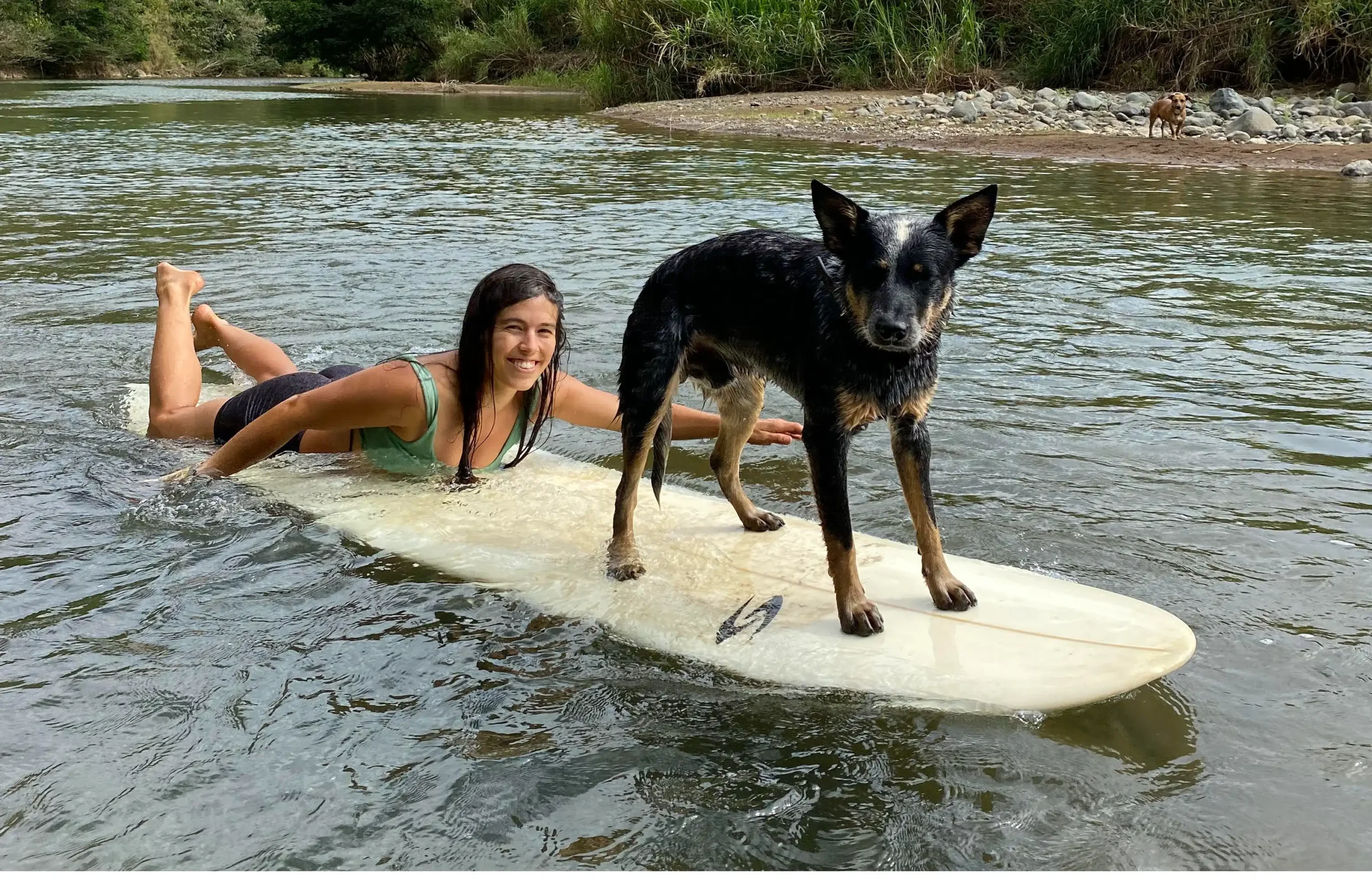 Rio surf - copia