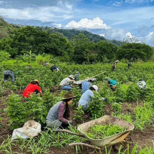 Rancho-Munay-sostenibilidad